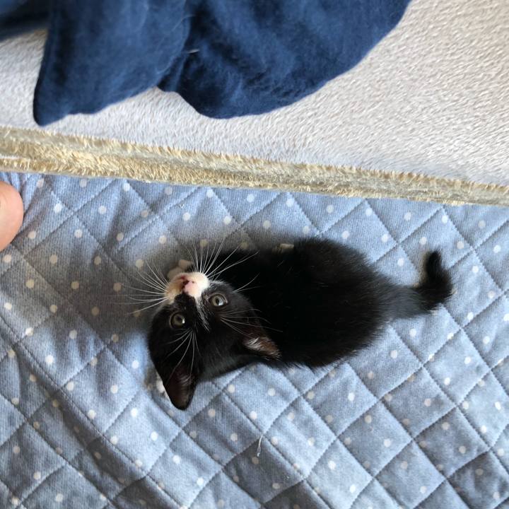 F00db2b5 a5ba 44ab adc0 56da7173a81b 1537594093310