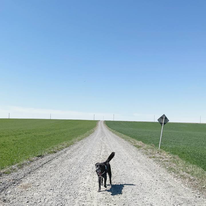 F00dff8b ac1c 42ad 8110 510395c5de07 1777096470550