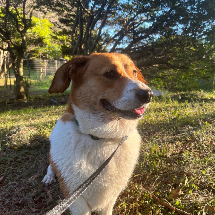 F00e2b5f ec72 4de9 b432 a70a883dc709 1635470833199