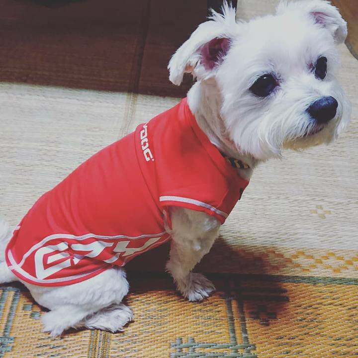 F00e6007 fffb 4562 90d7 8b2c3113f6da 1564490059022