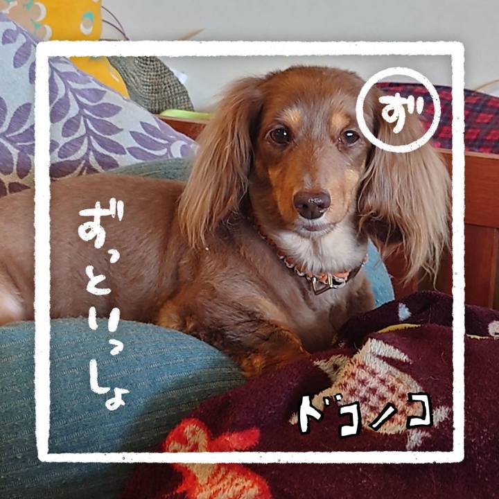 F00ecee6 843b 4520 a784 fe3a14ee16c4 1685946647862