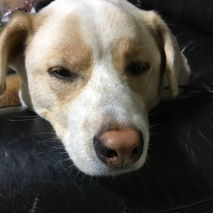 F00f000f f88f 476b 8256 b9a731ab4871 1508858389994