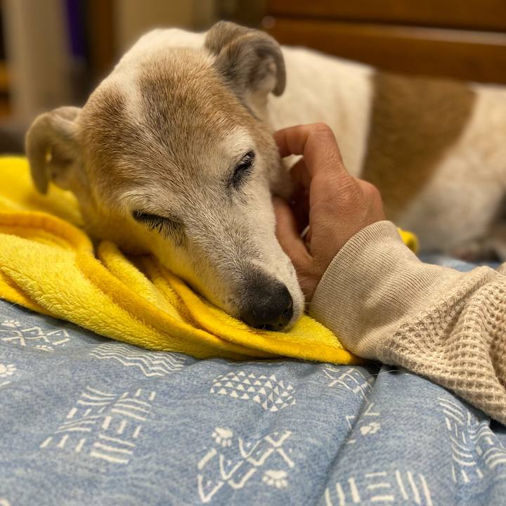 F00f0c30 4821 41bb 89f8 e45f6e8722e2 1683463966063