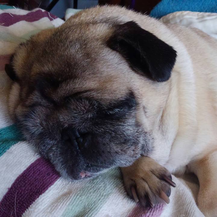 F00f7c5a 0e60 464b b778 9a862f06aab3 1508660657129