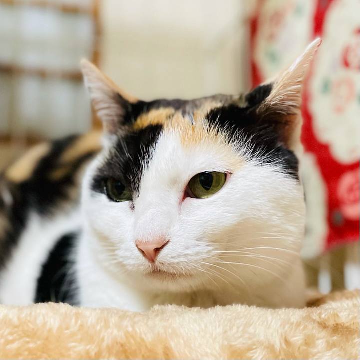 F00f9674 a5b3 415b a236 a9bbe8c2845e 1619835911880