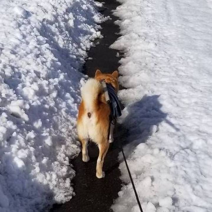 F00fbc3f e028 484b 9414 4d2f9df31377 1580539121680