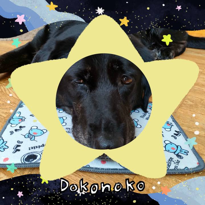 F00fd3c1 1146 4d25 8407 5c6e4a5ed479 1720758206255