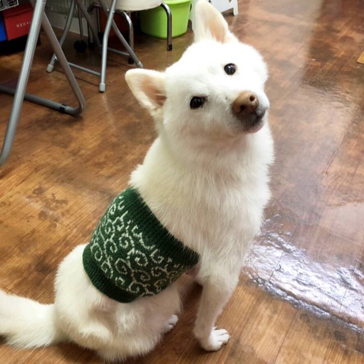 F0101def e4e6 4c76 824b c2e6b4b3bab1 1544098615974