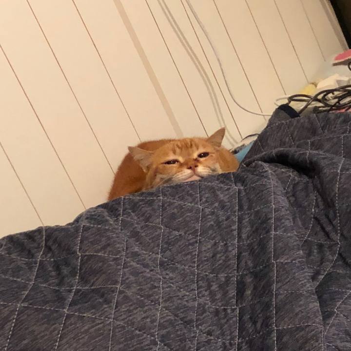 F0103c38 9f8b 4c08 83ac 3754103d2447 1579487709748