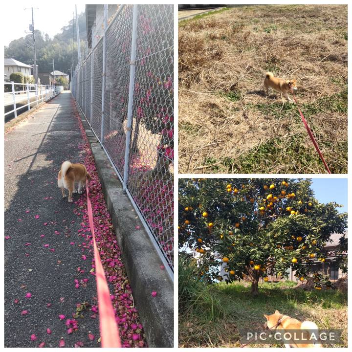 F0103d9a 59fc 4adf 85b3 e79a7fd56716 1770953421587