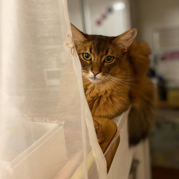 F0104b66 7dd4 44ac 8457 1547f62ad1df 1661733823250