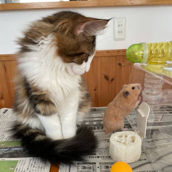 F0105d0c 632b 47d2 9b07 6b1c0c63f25e 1636252022927