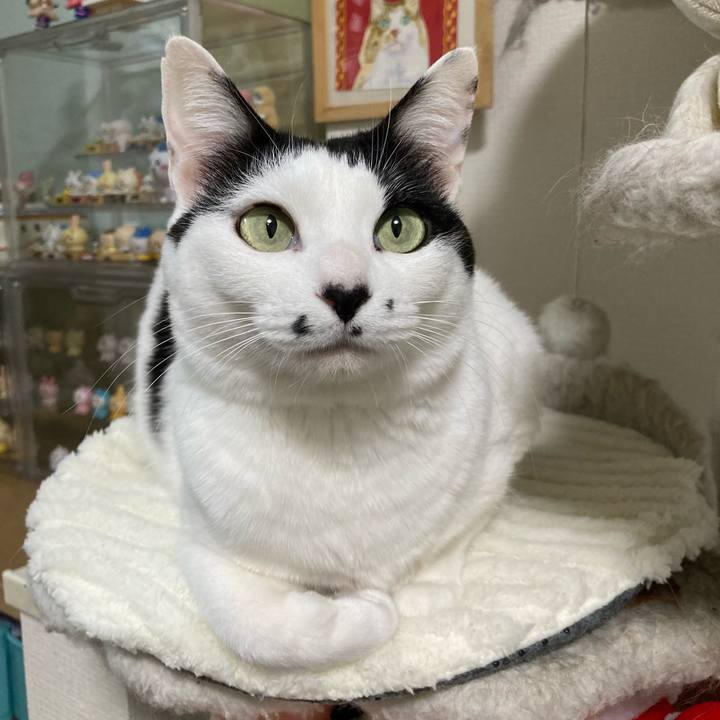 F01065eb d2f0 476c b350 a7586c1bc626 1767876177914