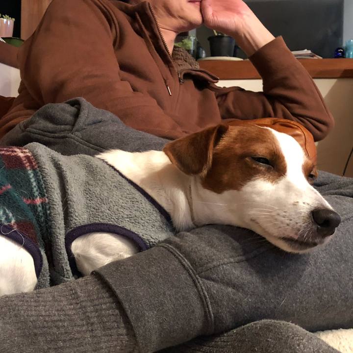 F010a04d 05d6 427e a438 f935aec92e93 1543826037441