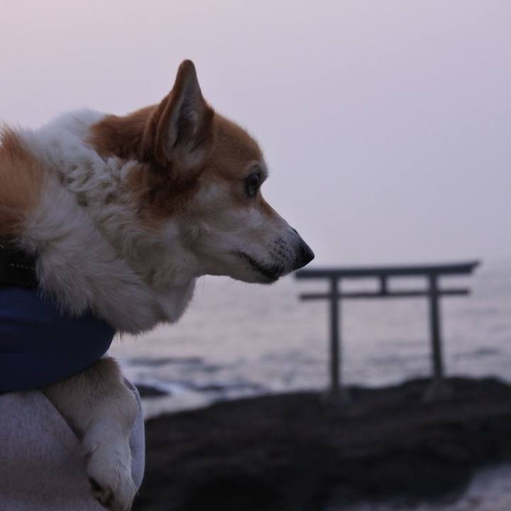 F010c4e3 dc0c 41dd 827c cc9f36c16260 1745676479498