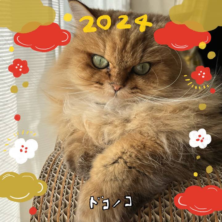 F010df07 54c8 45b2 8d29 50a3a720621f 1704107389542