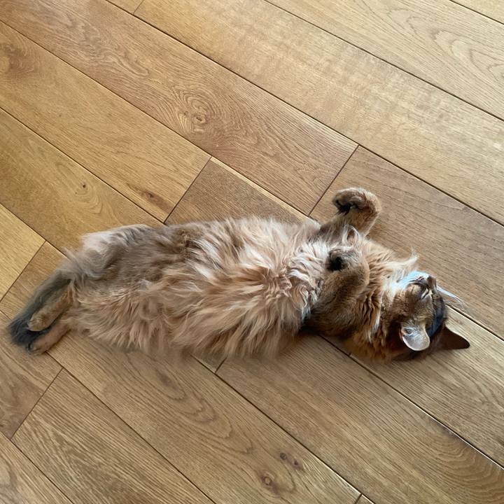 F011141f 9f7f 4fcf 9325 02a304c74fdc 1750921630016