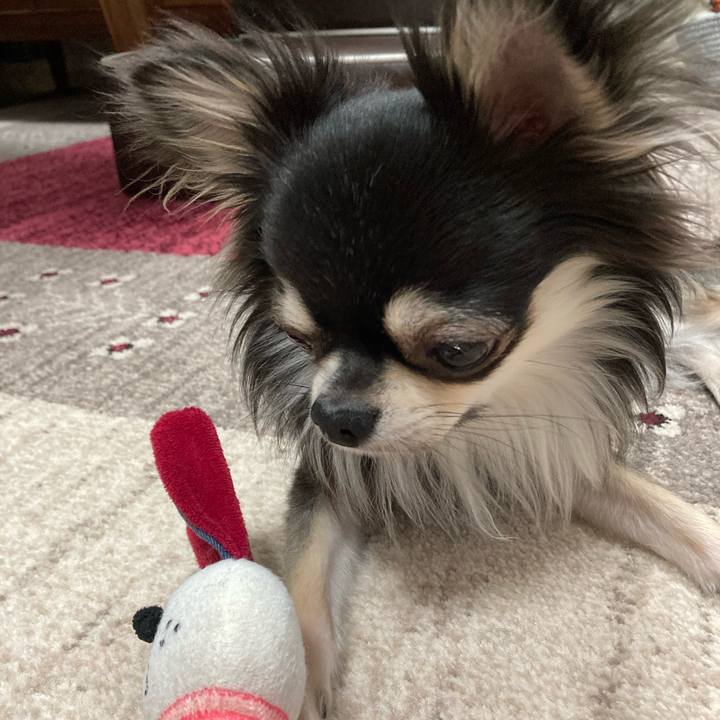 F011267e 50a7 42cc af61 fa1fa6f8a6b7 1615610921573