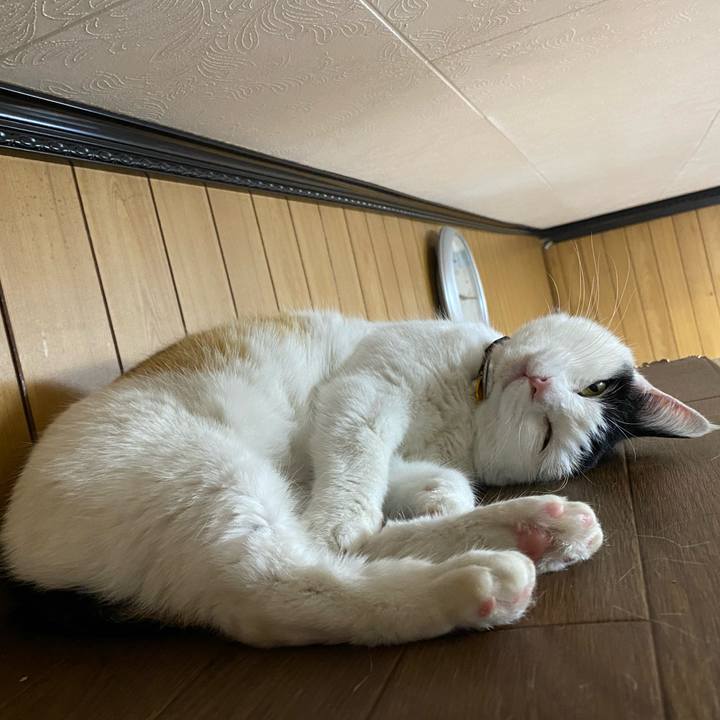 F0113282 7389 4fba b3a4 a6f1947f7700 1644236653795