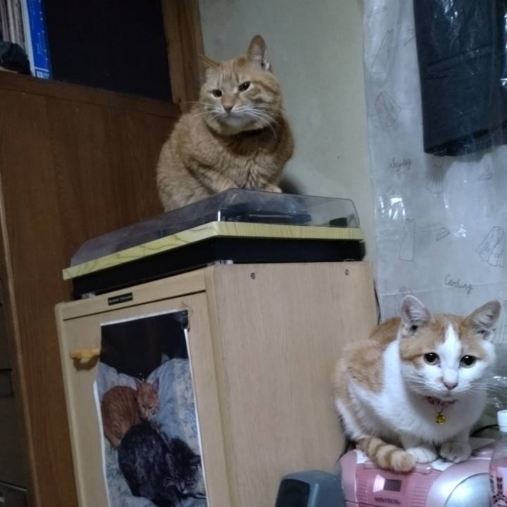 F01147a1 9ffc 4767 8921 6d84eba9c525 1740692472395