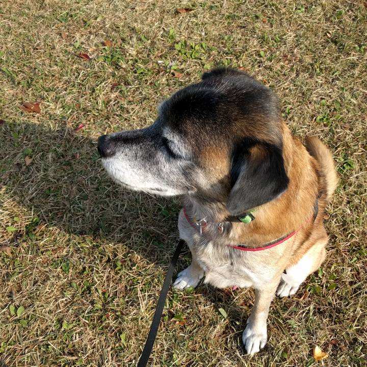 F0114822 f1c6 45c9 afd4 2ea2d0054d7a 1510532460431