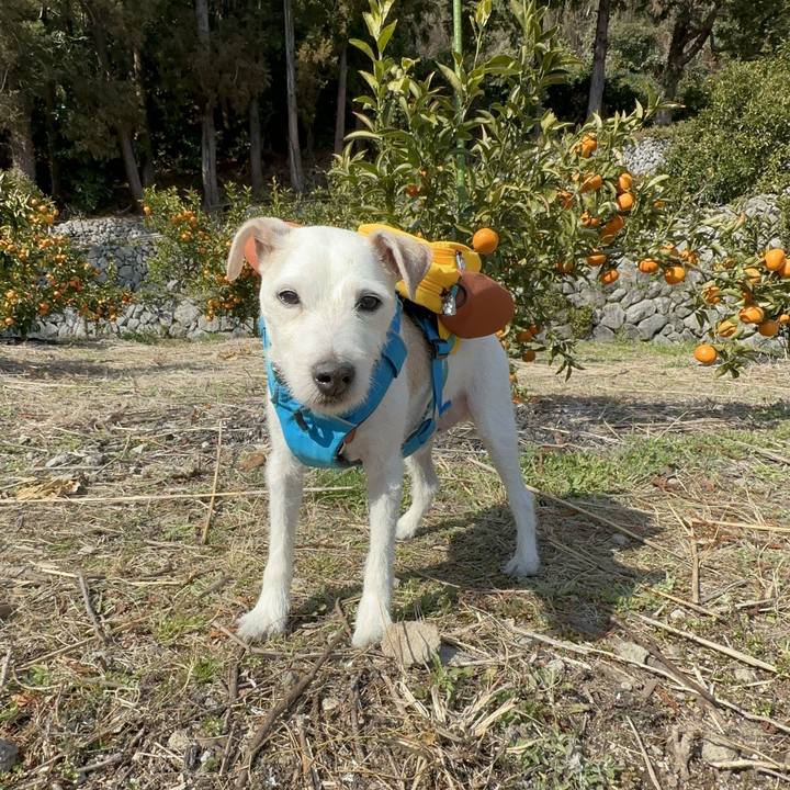 F011a11a 1874 4498 aeb9 9ceb5755e976 1771070453035