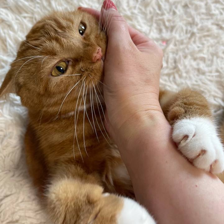 F011af3e 12ad 4c05 ada8 a8c03d7c6b5f 1628468847611