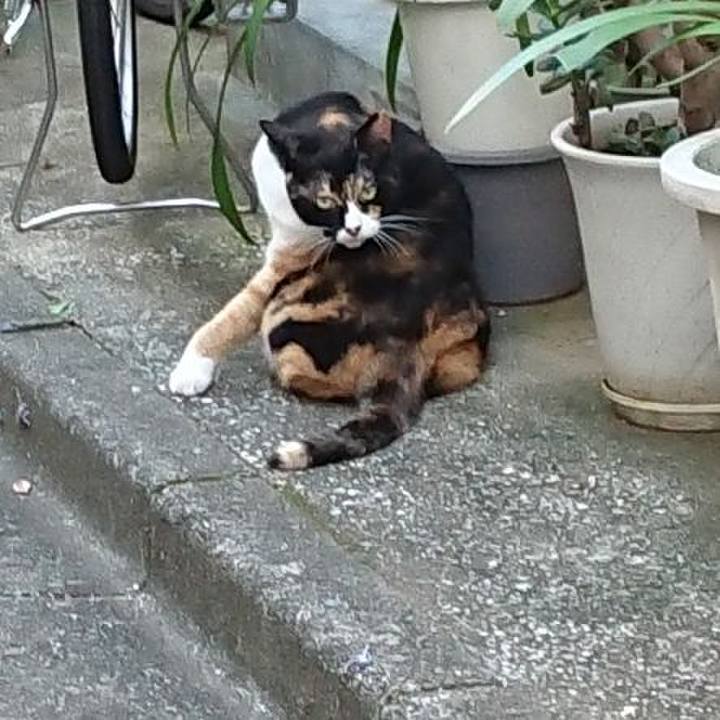 F011bad8 58bc 4939 98f7 92451f61833c 1628207817934