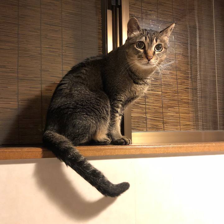 F011e0b0 3017 433e a290 72b1eec6e1ba 1597455167656