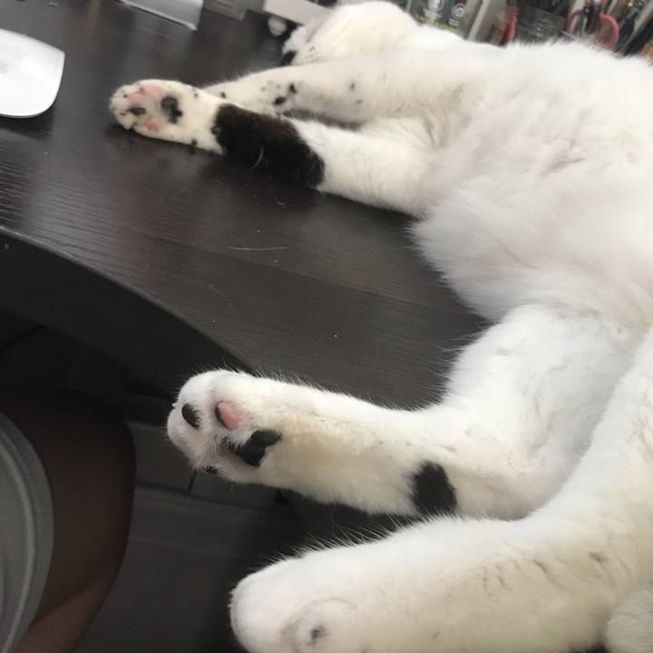 F011eb08 1856 4792 a252 86b0d918325f 1565675345421