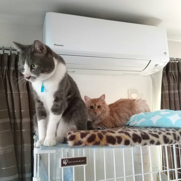 F0120f9e 5bc9 4cdf ab89 46553cbc2655 1632901242579