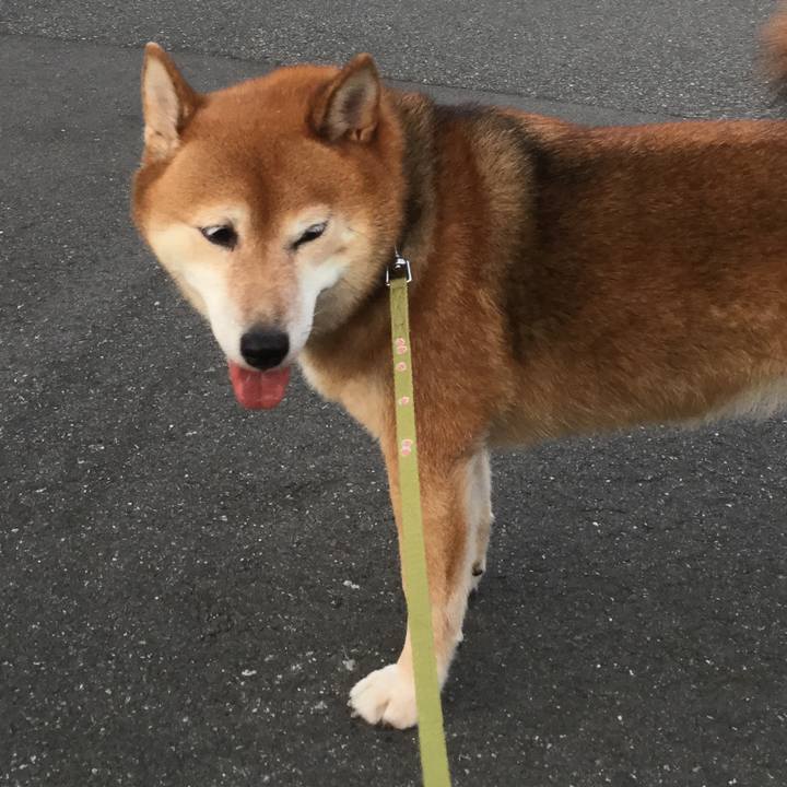 F0123872 06a2 4ce1 9372 620fa156c13f 1597839174673