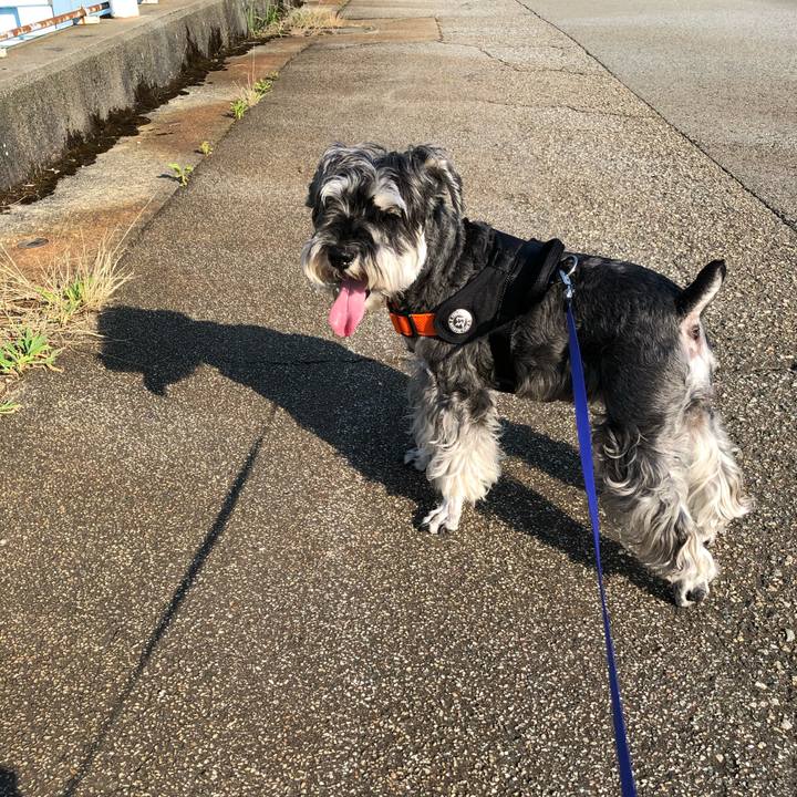 F0124068 2621 400b 8d94 e68f5351dbbb 1690065787610