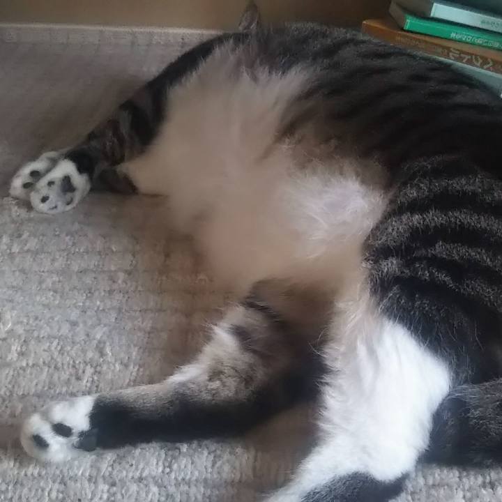 F01251d6 ac03 4af8 9a28 ac83b747f247 1624959080903