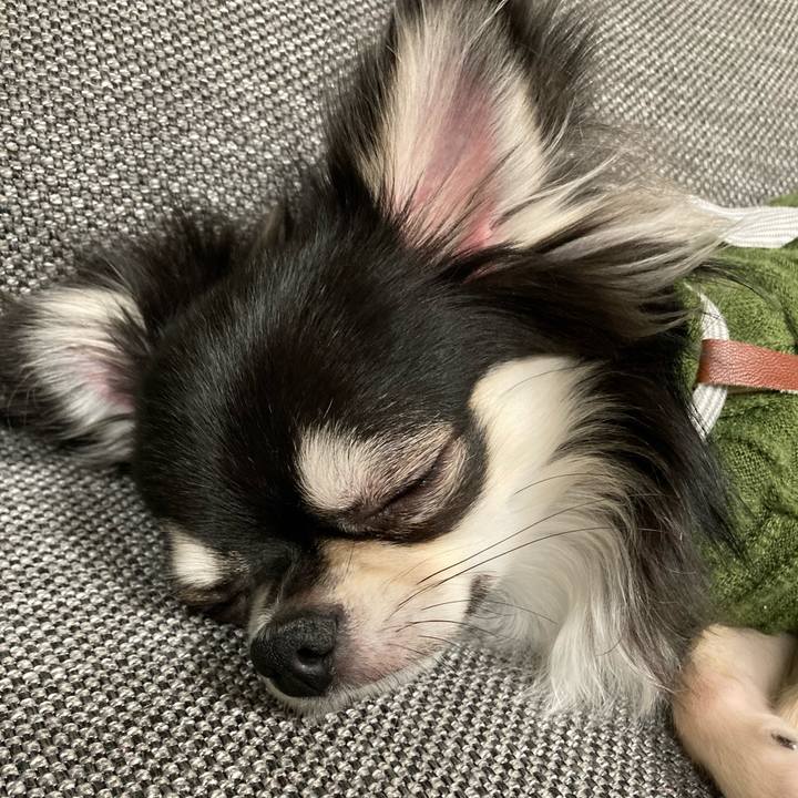 F0125ac7 7ba4 477a 8a53 0c44e4fb4870 1611499559442