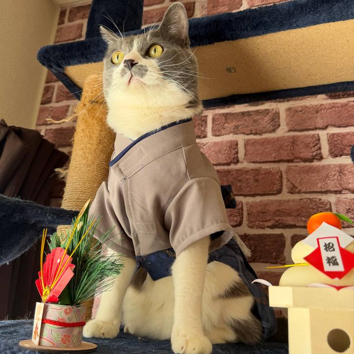 F0128952 8db4 4799 8494 b663ad99e953 1767234797389