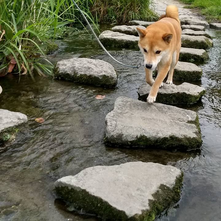 F012b535 0510 413b 8a33 4581e0137ee6 1524891034547