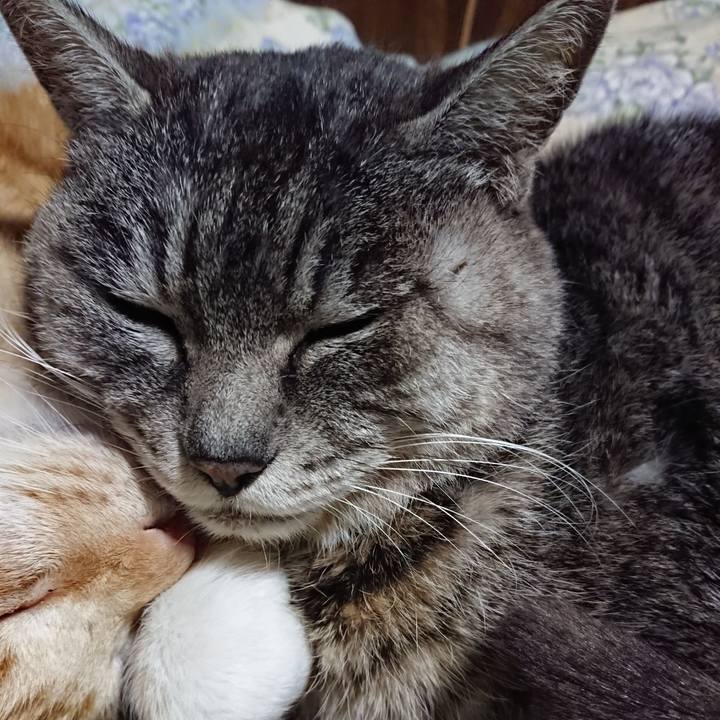 F013194b 0404 482e a93f bb5828a6ee8e 1581682604235