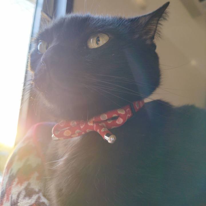 F013201d 1931 4bab 8b81 2cbdd30ccc44 1675290733362