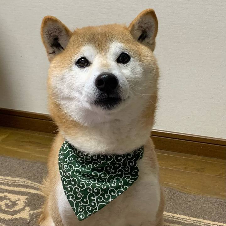 F0134a49 dfc6 490b be9c 7a9b4036ca79 1644920514864