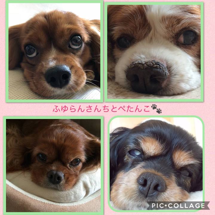 F0136eb5 60e2 43e6 a289 51b00aa428eb 1532849574013