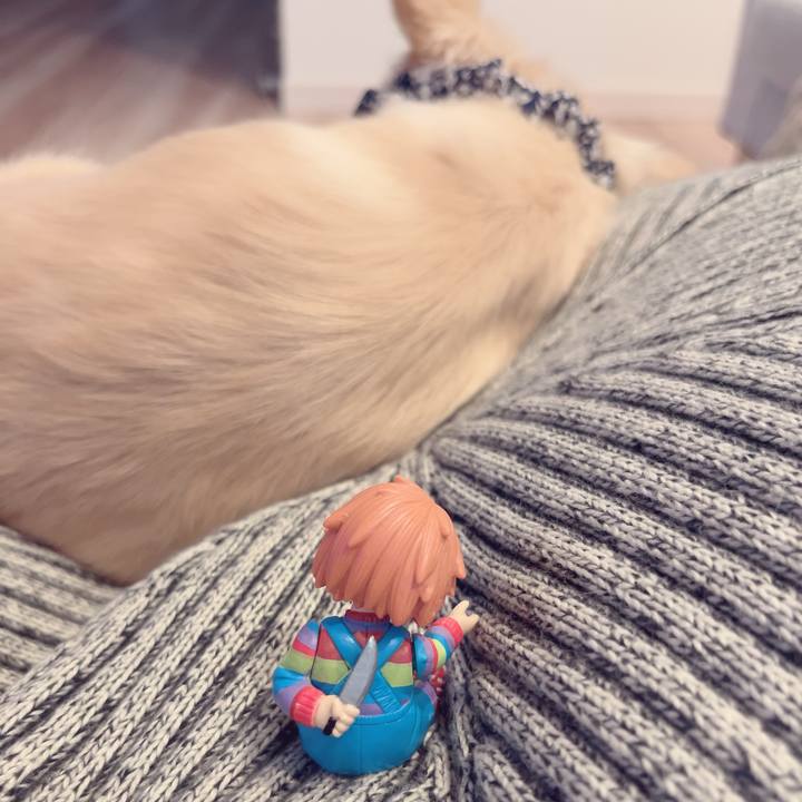 F013be11 f021 41e5 a45c 2537ebcec727 1695196420494