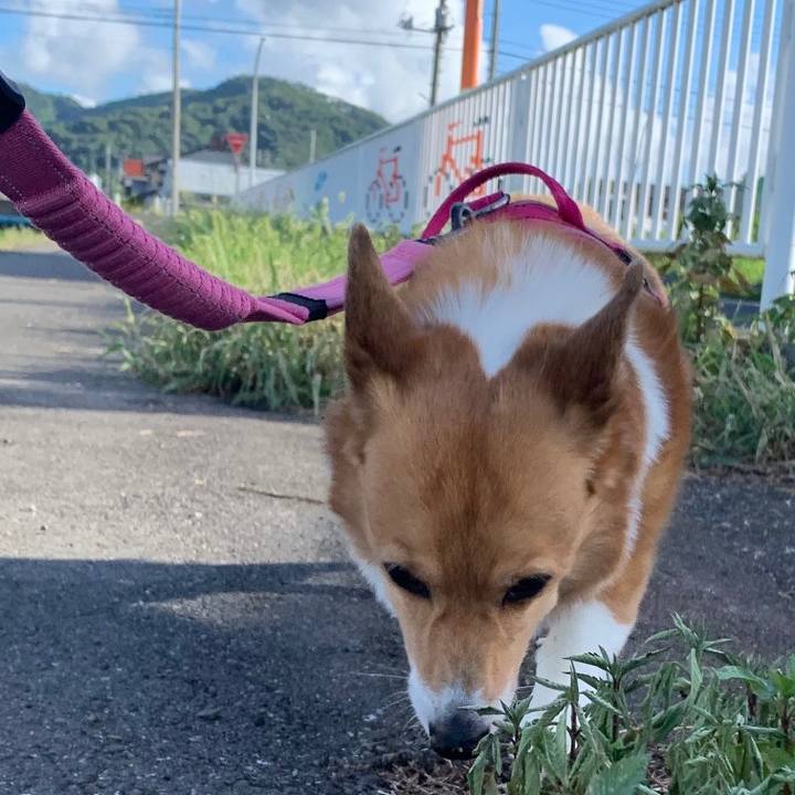 F013fc17 dd09 482e b05a 8f83043cc0d9 1692659081663