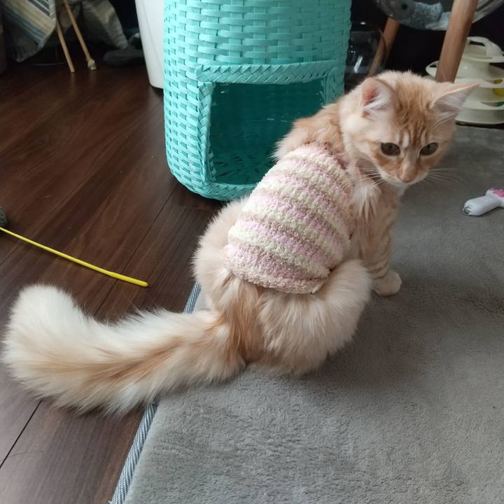 F01420fb edf6 4708 8f37 fa31db7bce60 1615272911984