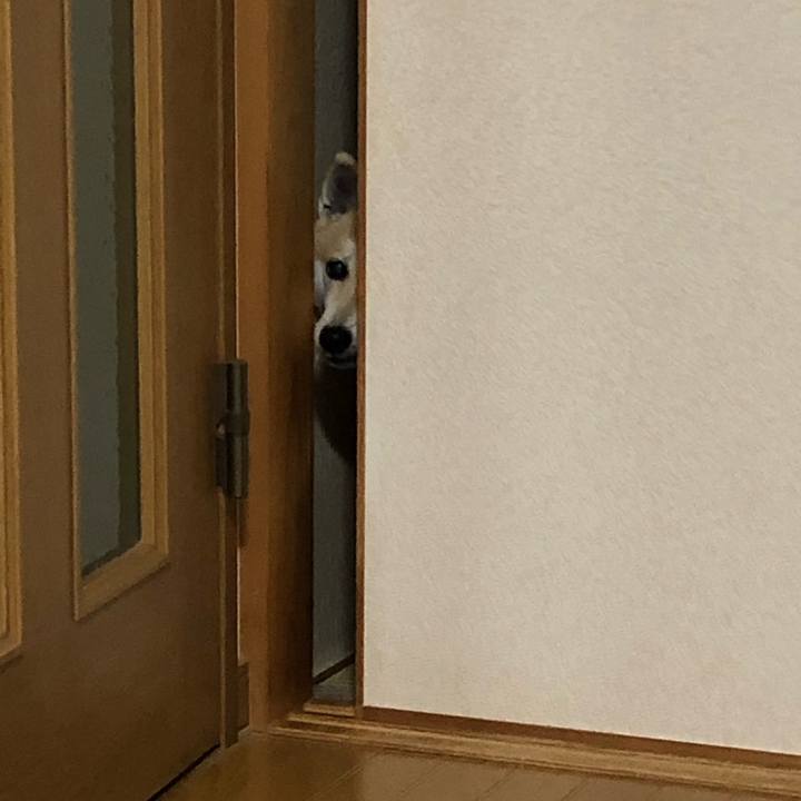 F01440ee 8f8c 47f3 9977 bae31bdab268 1572525299947