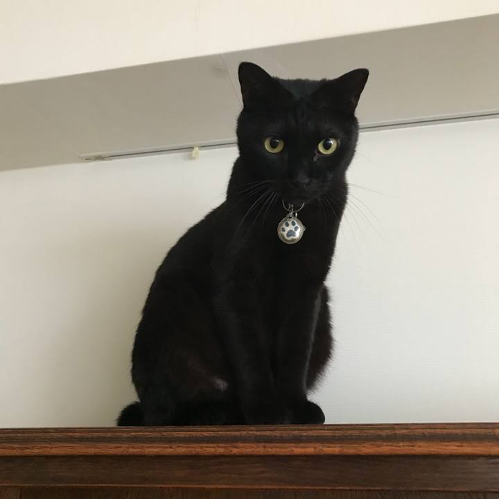 F0145826 c0ed 43db ab87 b818ef92780d 1516976111215