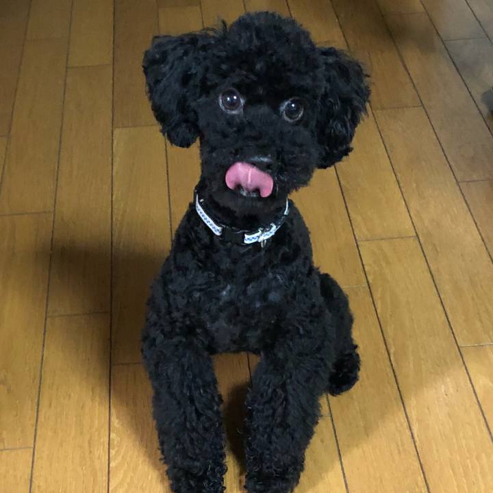 F0149109 8ce4 42c4 a71d c194e864e941 1529069582579