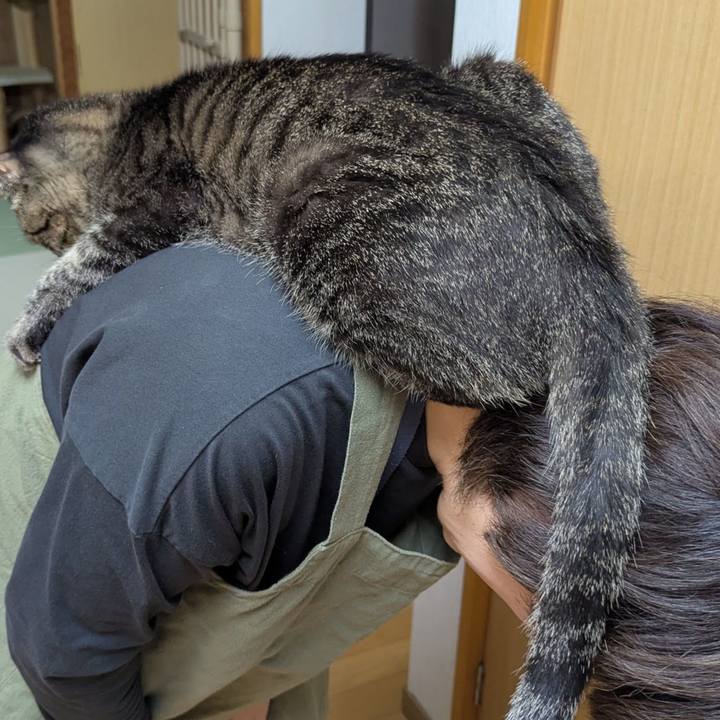 F014b300 aa7e 452d 86ed 4d7808c1fa5a 1765777915068