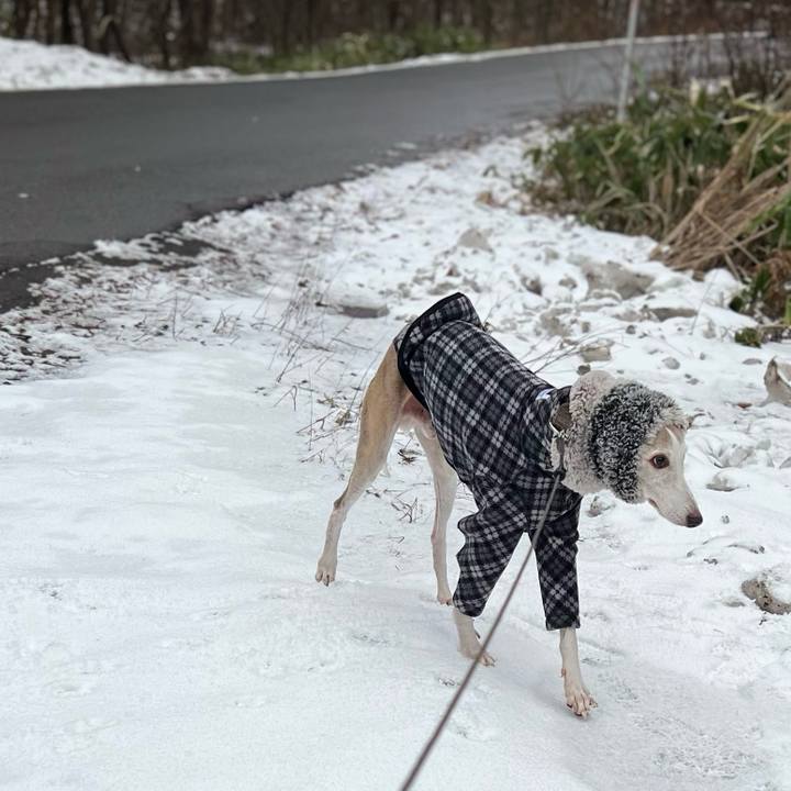 F014d3f5 d127 4886 a0b9 7aad914fc2d9 1767082827865