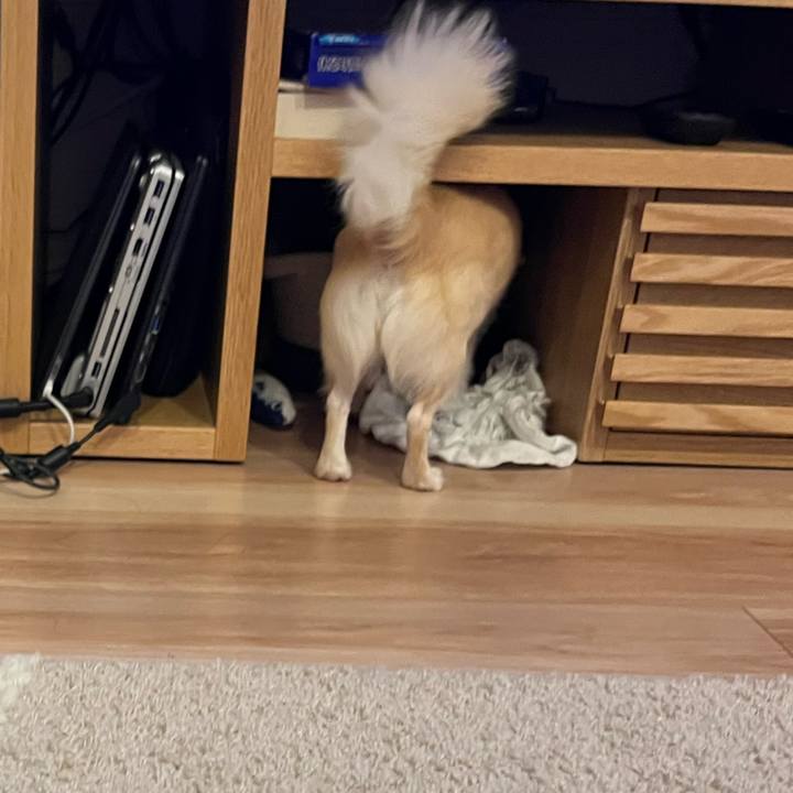 F014e5c1 7a9f 46e8 b1dc 00eaf6bce3ea 1727144208591